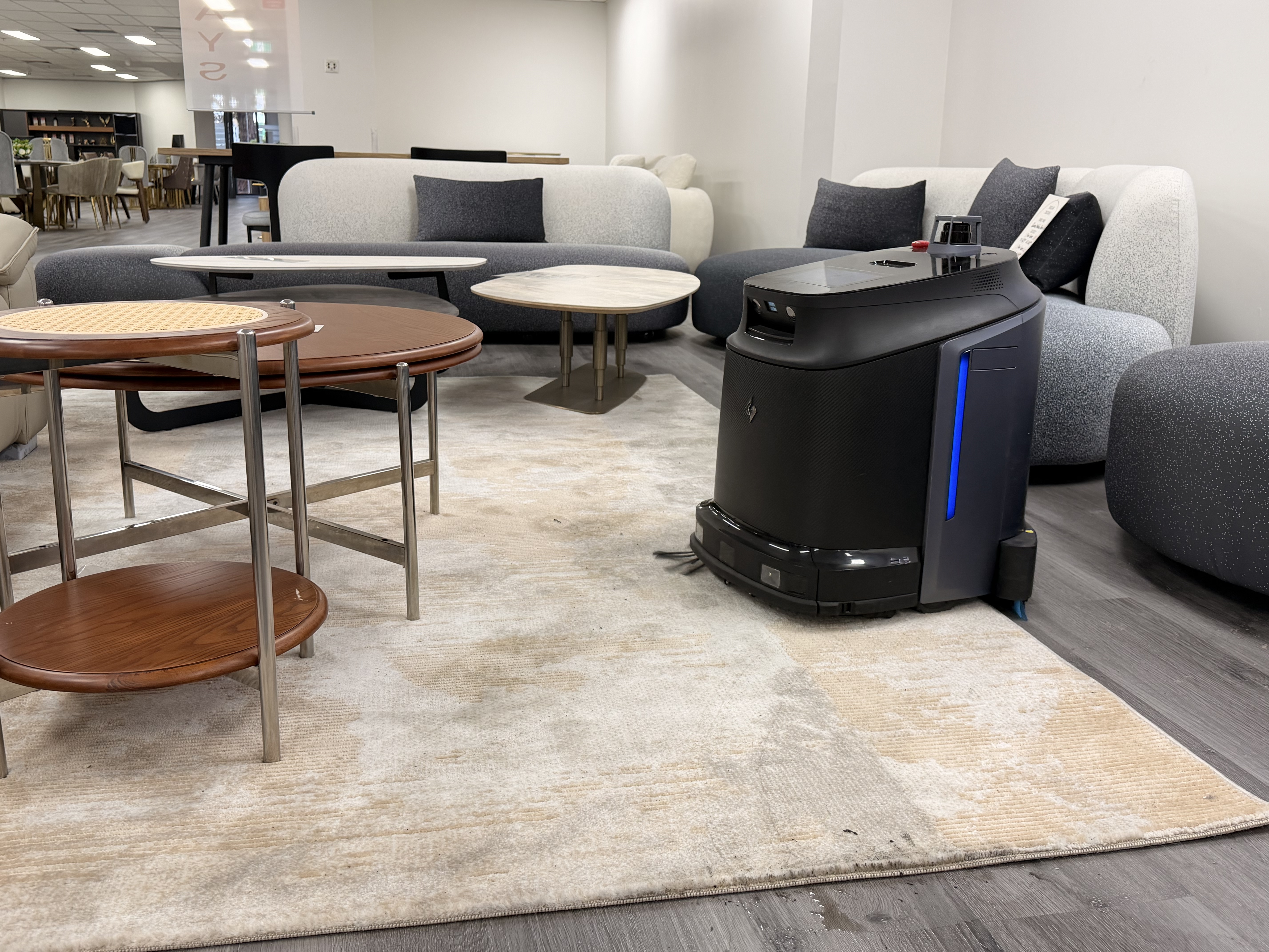 Phantas beside sofas and tables in the LZ DECOR showroom