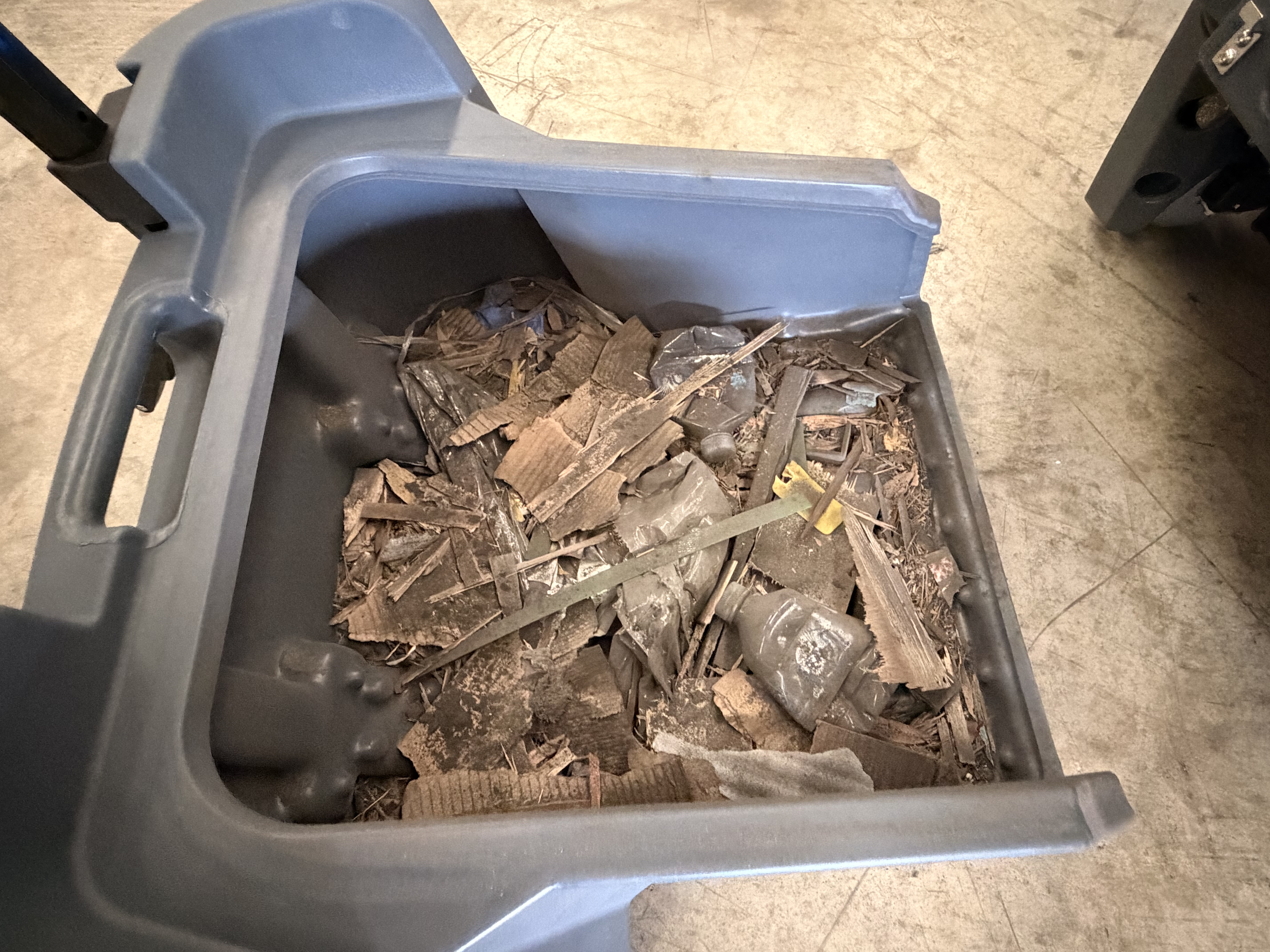 Beetle debris bin containing collected dust, cardboard, wood fragments and plastic packaging